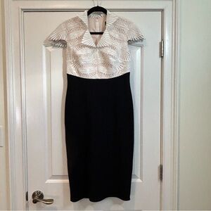 Tadashi Shoji Two-Tone Lace Crepe Sheath Dress size 4